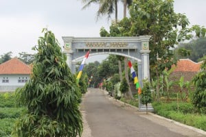 IMG_0445