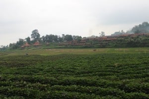IMG_0479