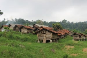 IMG_0500