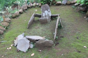 IMG_0585