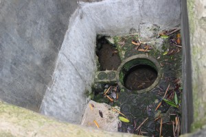 IMG_0973