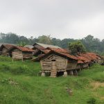 IMG_0500