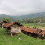 IMG_0501